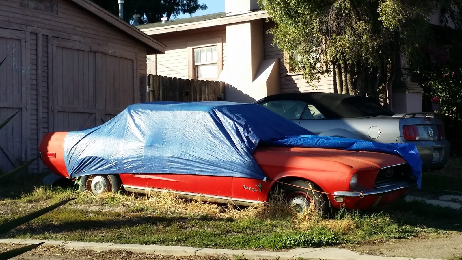 Just A Car Guy I finally got to see what was under a car cover, after