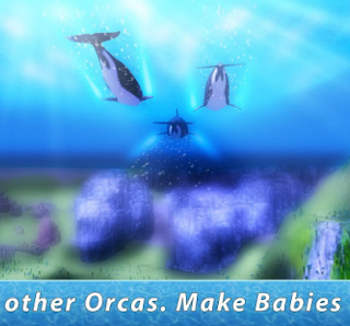 Orca Family Simulator