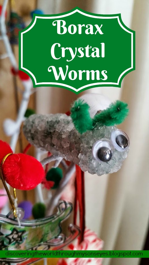 The Magic School Bus Meets Molly Cule Spanish Activity