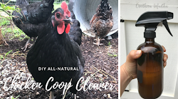 diy chicken cleaner coop natural essential oil hope much