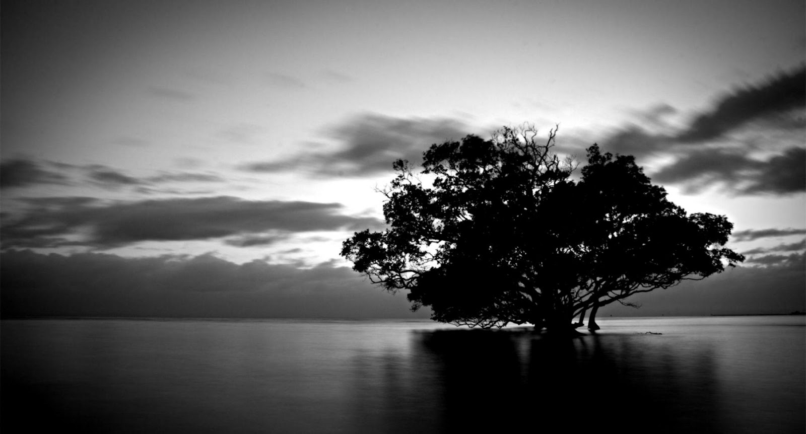 Dark Nature Wallpaper Background Desktop Wallpapers