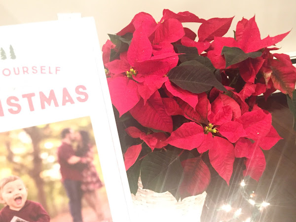 Merry Christmas (+ Our Christmas Card Reveal)