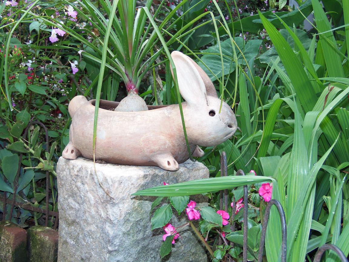 Sergio Castro: Humanitarian of Chiapas