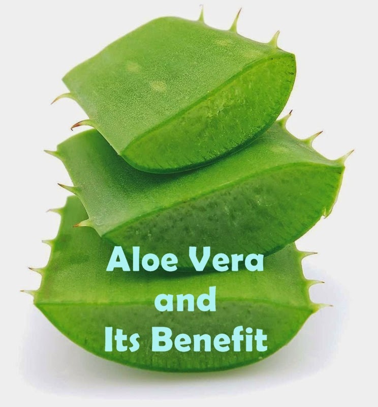 All About Women's Things: Aloe Vera and Its Benefits