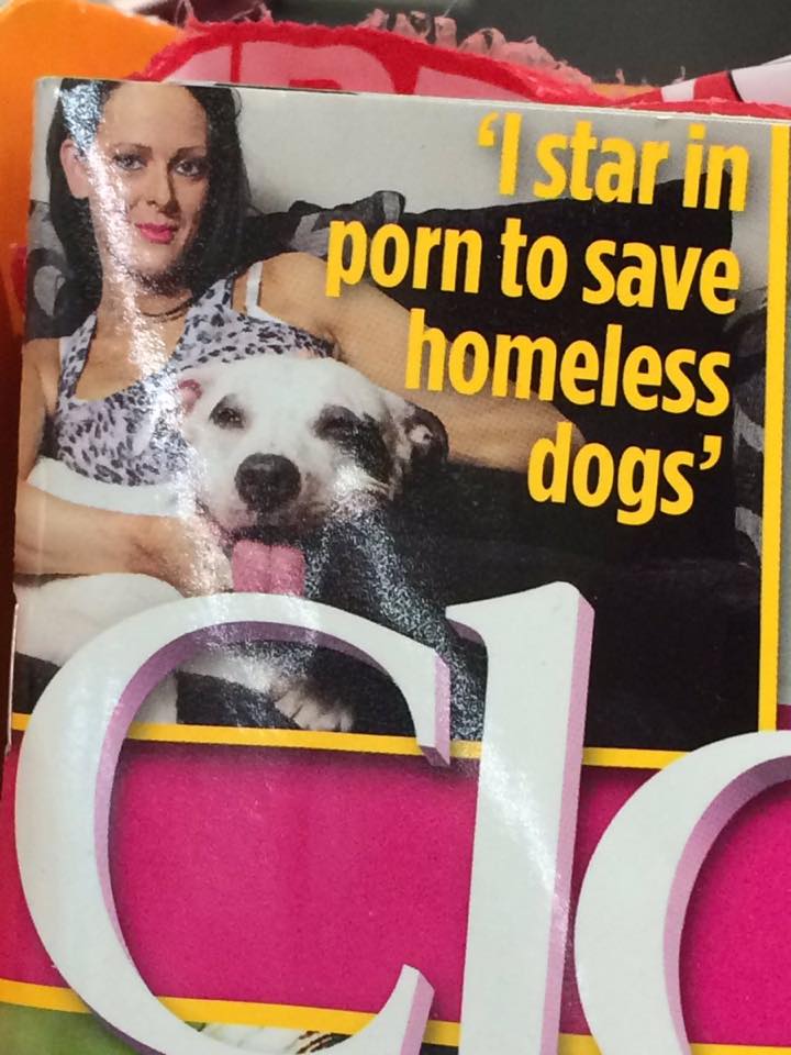 Can You Train A Rescue Dog To Hunt Can You Train A Rescue Dog To Hunt