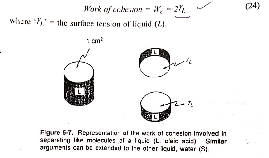 Spreading Coefficient Important Questions Physical Pharmacy