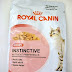 Testowanie karmy Royal Canin Gravy Kitten Instinctive w sosie
