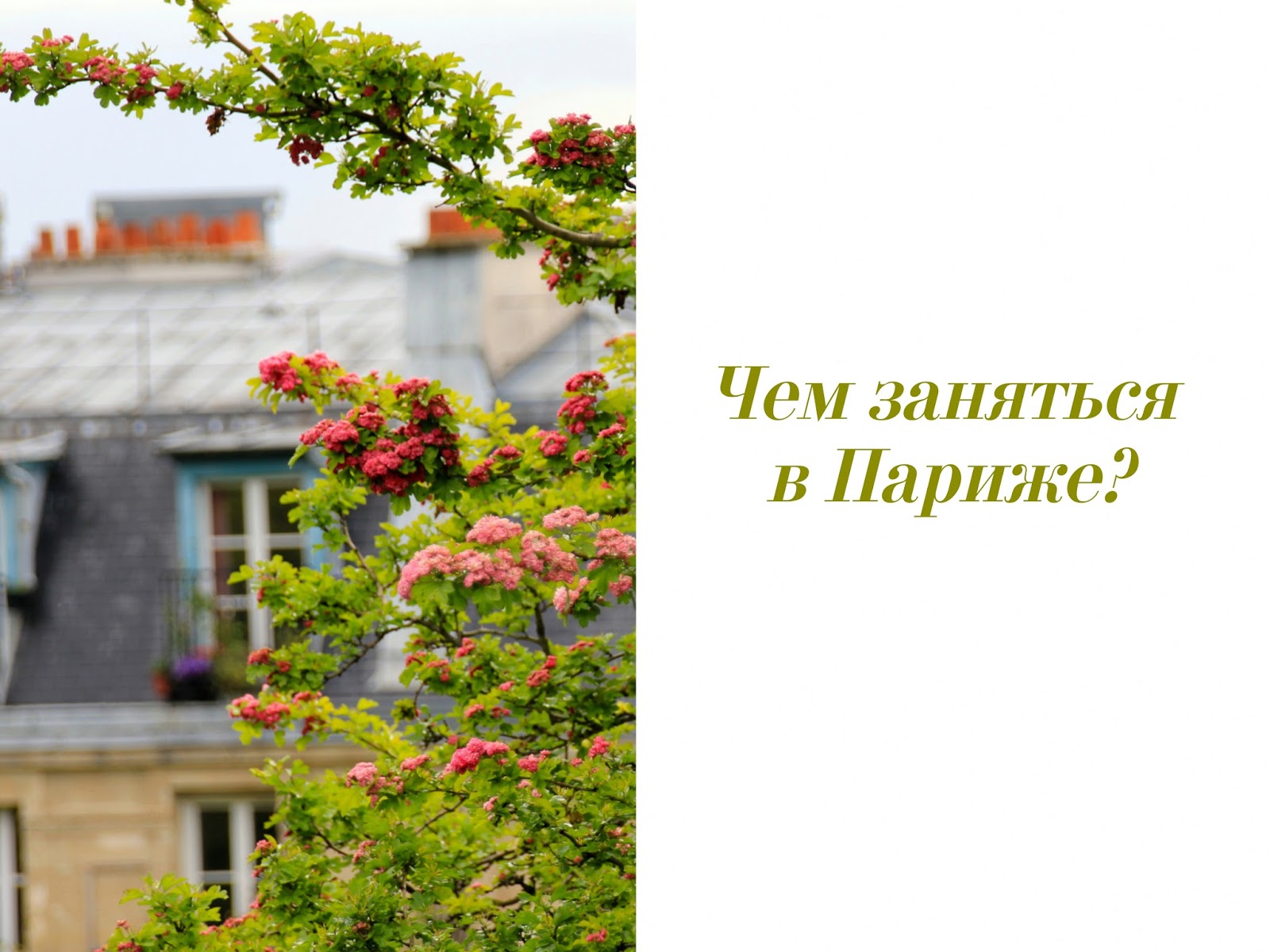 Карусель возле эйфелевой башни. Эйфель башня парк. Прогулки по парижу 19 века. Вид парижа с трокадеро. Париж интересные места.