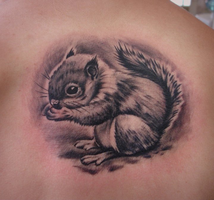 mytattooland com awesome squirrel tattoos cute drawings of animals