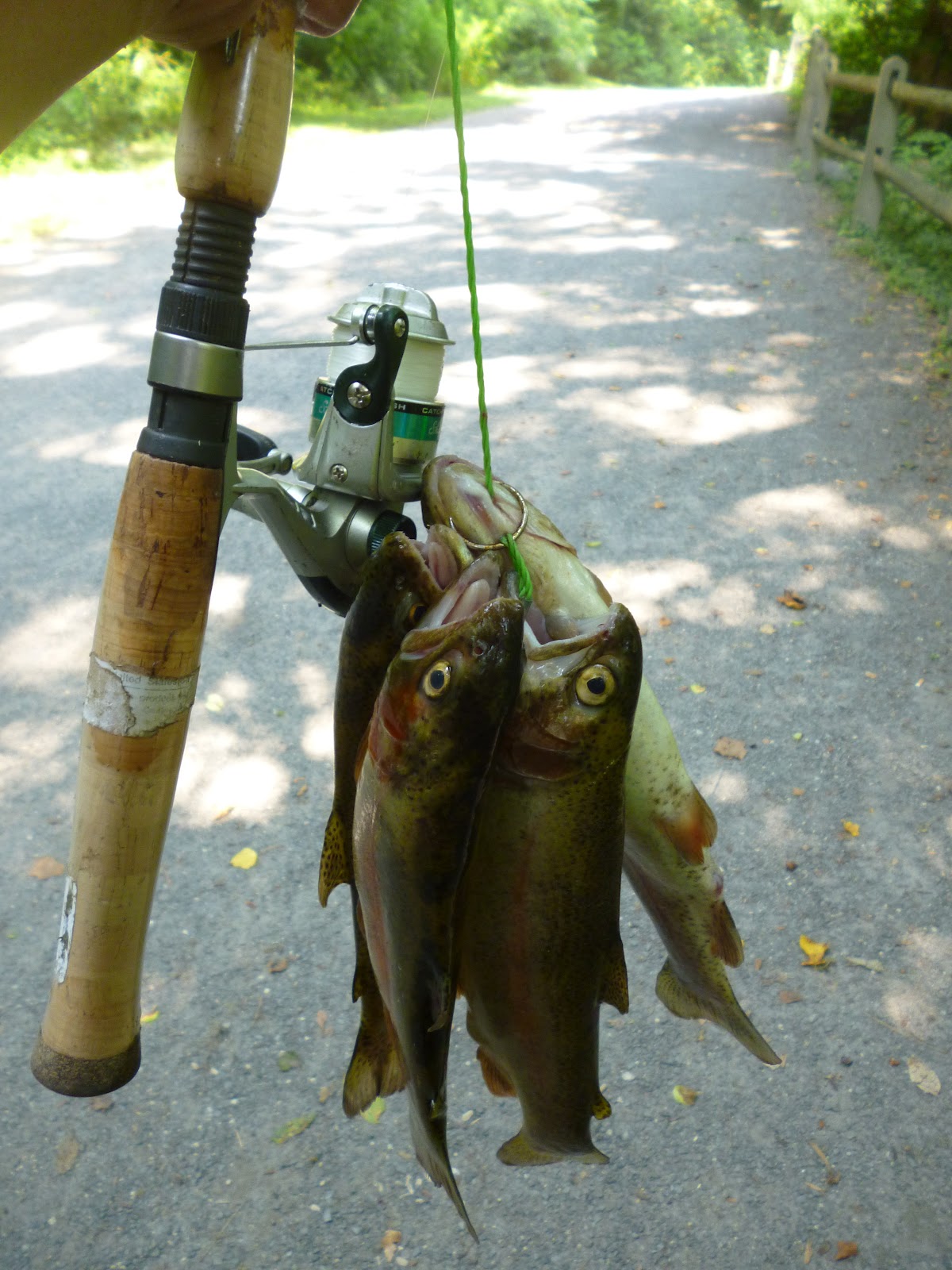 Extreme Philly Fishing Recent Catches...(June 20th+)