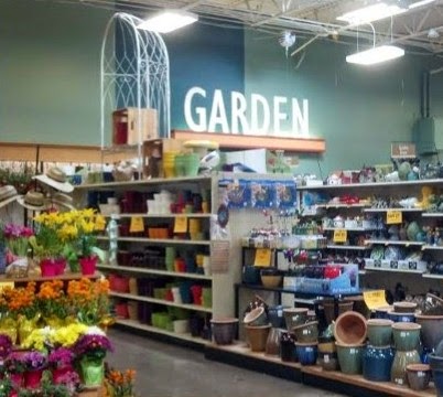 Walkabout With Wheels Blog: Shopping at Fred Meyer in Medford, Oregon