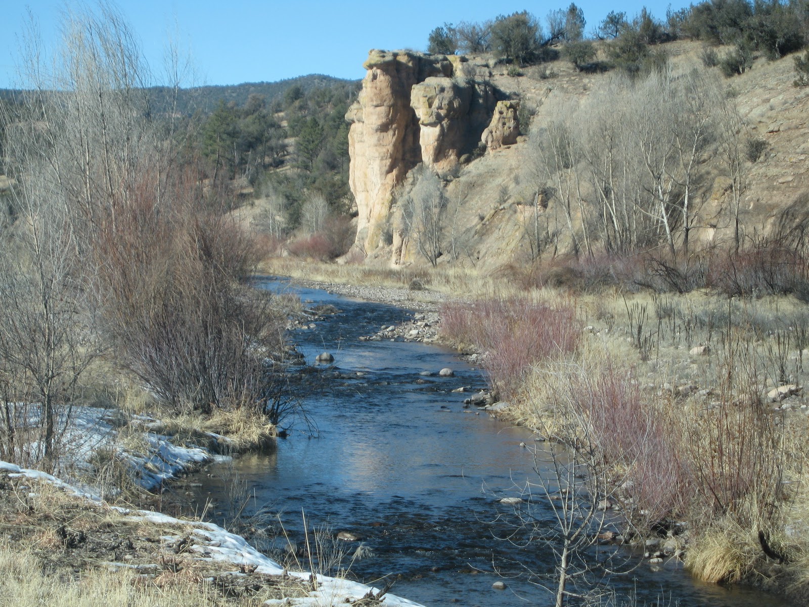 Marpeg GILA NATIONAL FOREST, NEW MEXICO