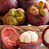 Manfaat kulit buah manggis bagi tubuh