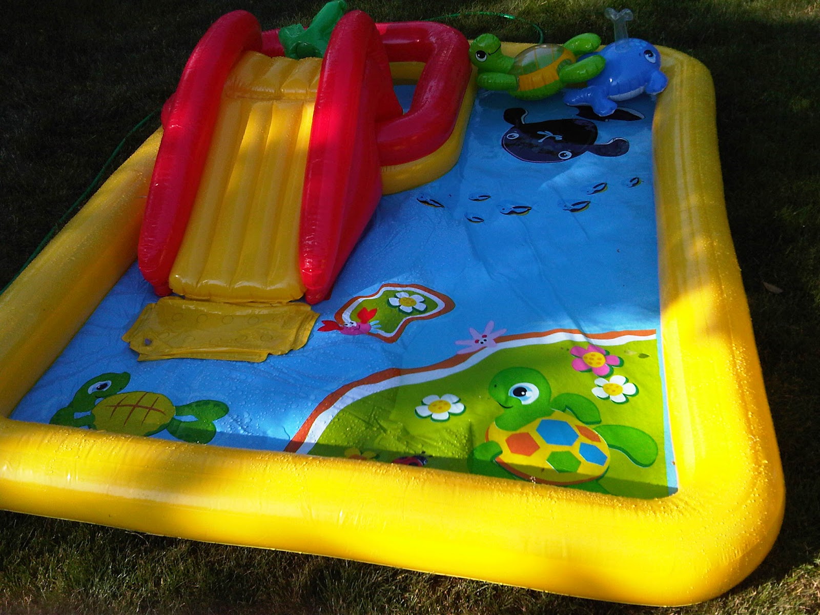 Brad the Dad Review Intex Ocean Play Center