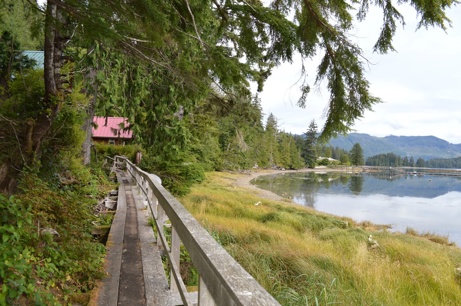 BC Oceanfront BCO Coastal Gems Winter Harbour