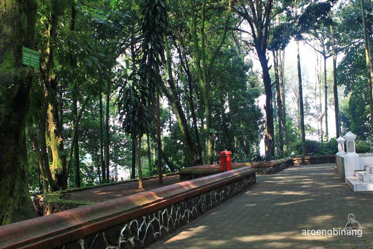 taman hutan raya ir. h. juanda bandung
