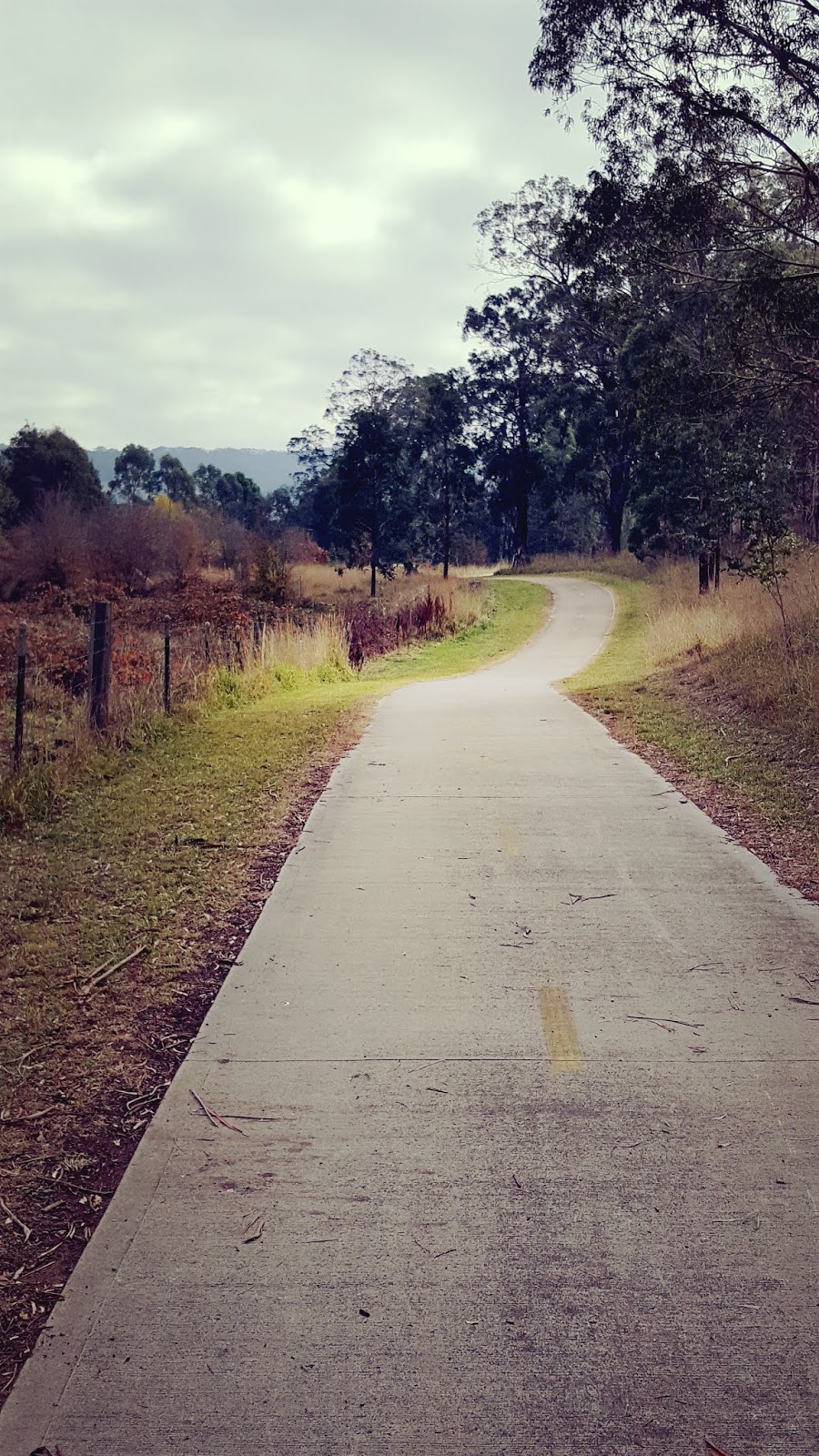 LL's Blog: The Week So Far