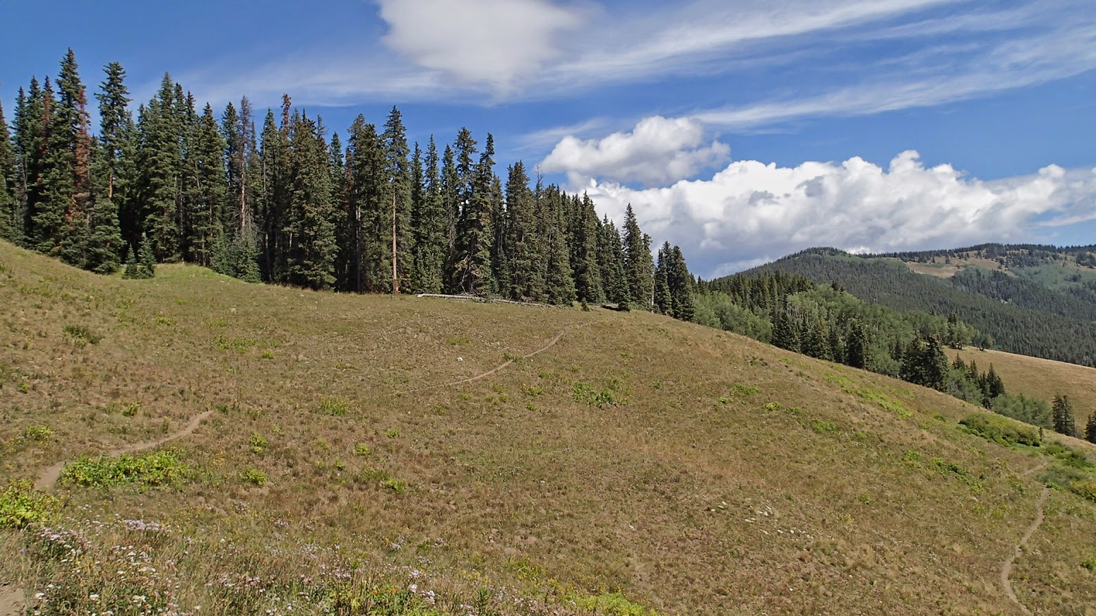 Ramblin' Doctor Park Trail