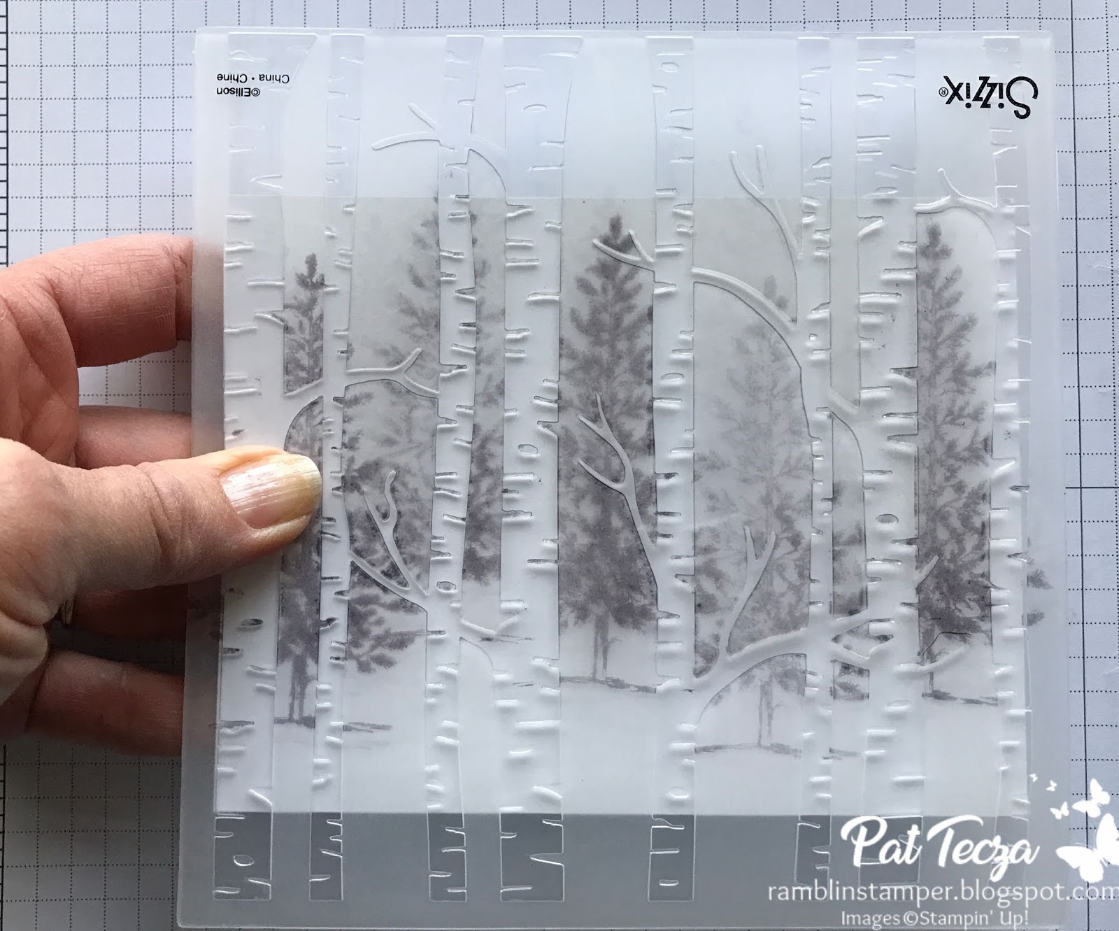 Ramblin' Stamper Bringing Home the Tree Fun Embossing Folder Tutorial