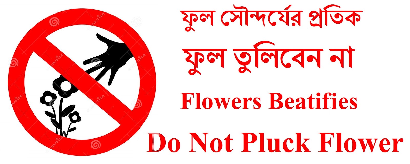 SRIJONI PHASE II PORTAL