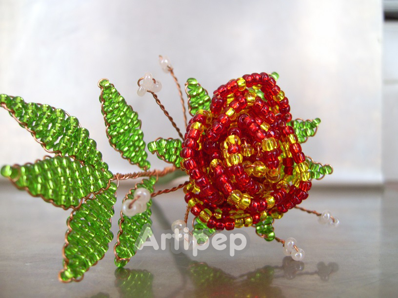 rosa roja y amarilla