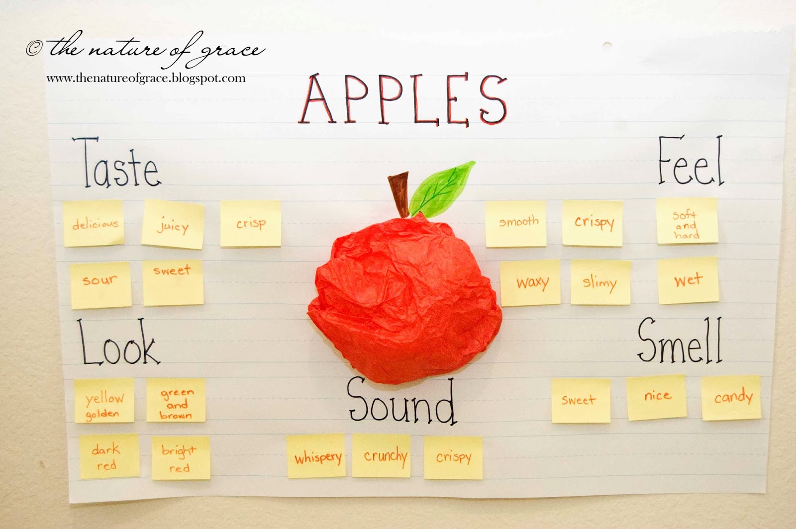 The Nature of Grace: Lesson Theme: Apples!