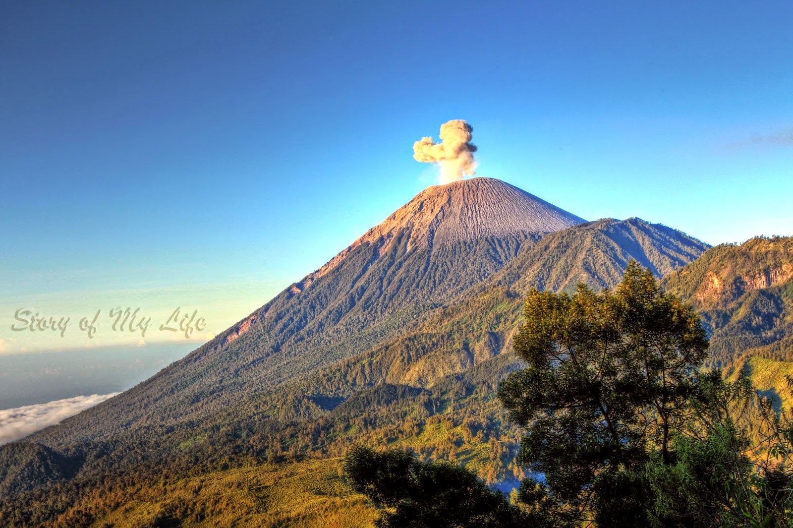 Story of My Life Keajaiban apakah ini