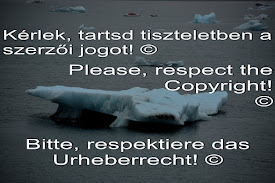 Respect the Copyright