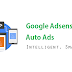 How to enable Google Adsense New Ad Format - Adsense Auto Ads on your website?