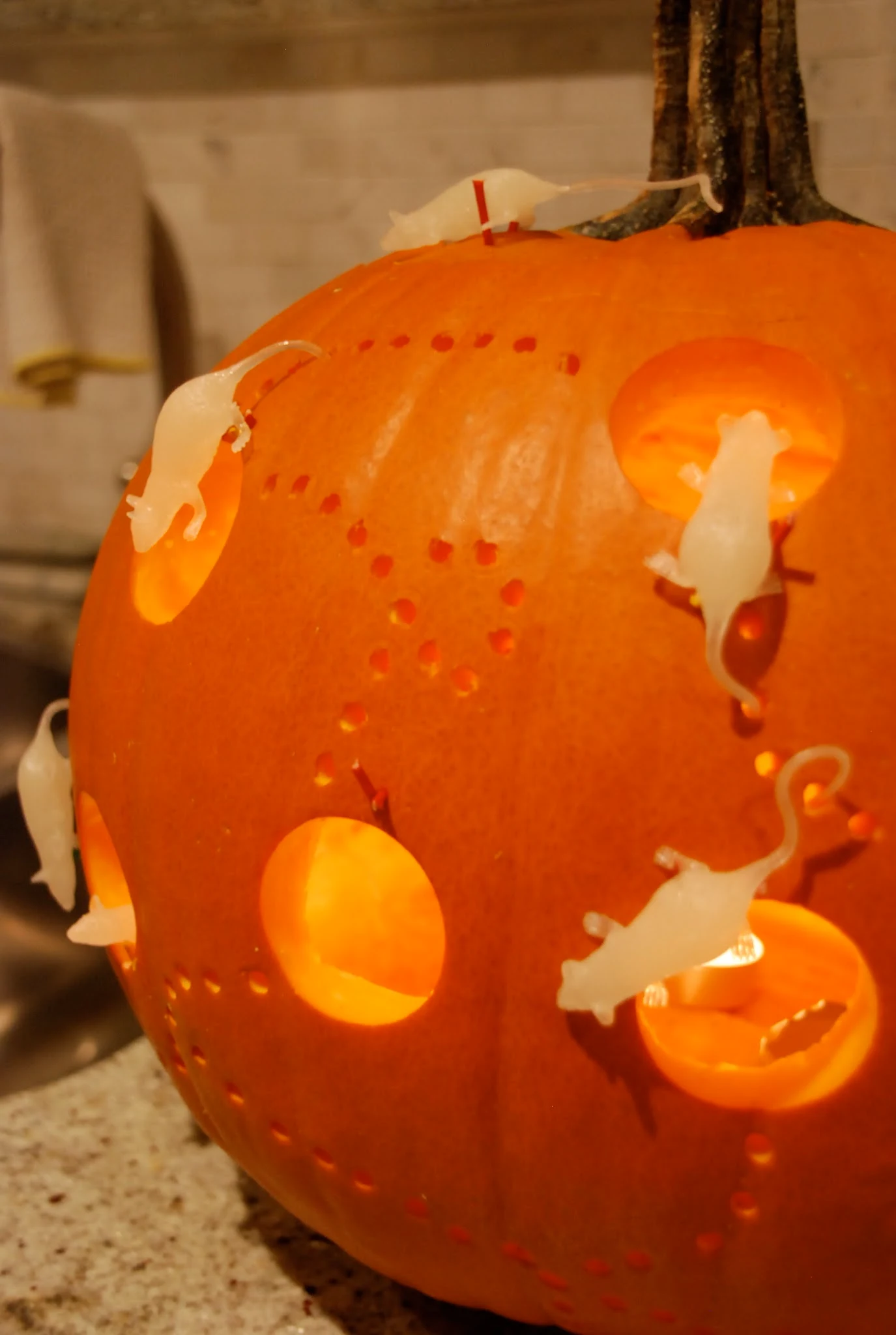 pumpkin with drilled holes, pumpkin mouse house, power tool pumpkin DIY, pumpkin with glow in dark mice