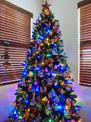 CHRISTMAS TREES 2014 -Click On Photo