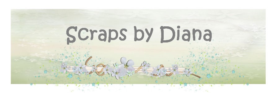 Scraps by Diana