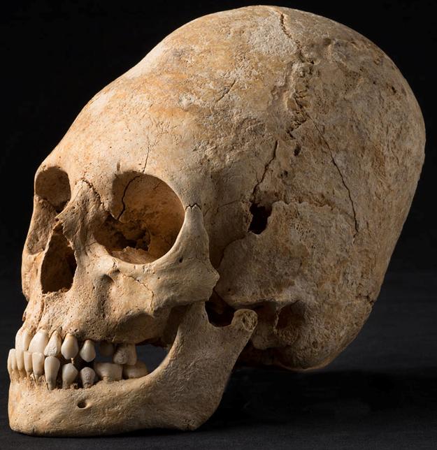 Самый древний череп человека