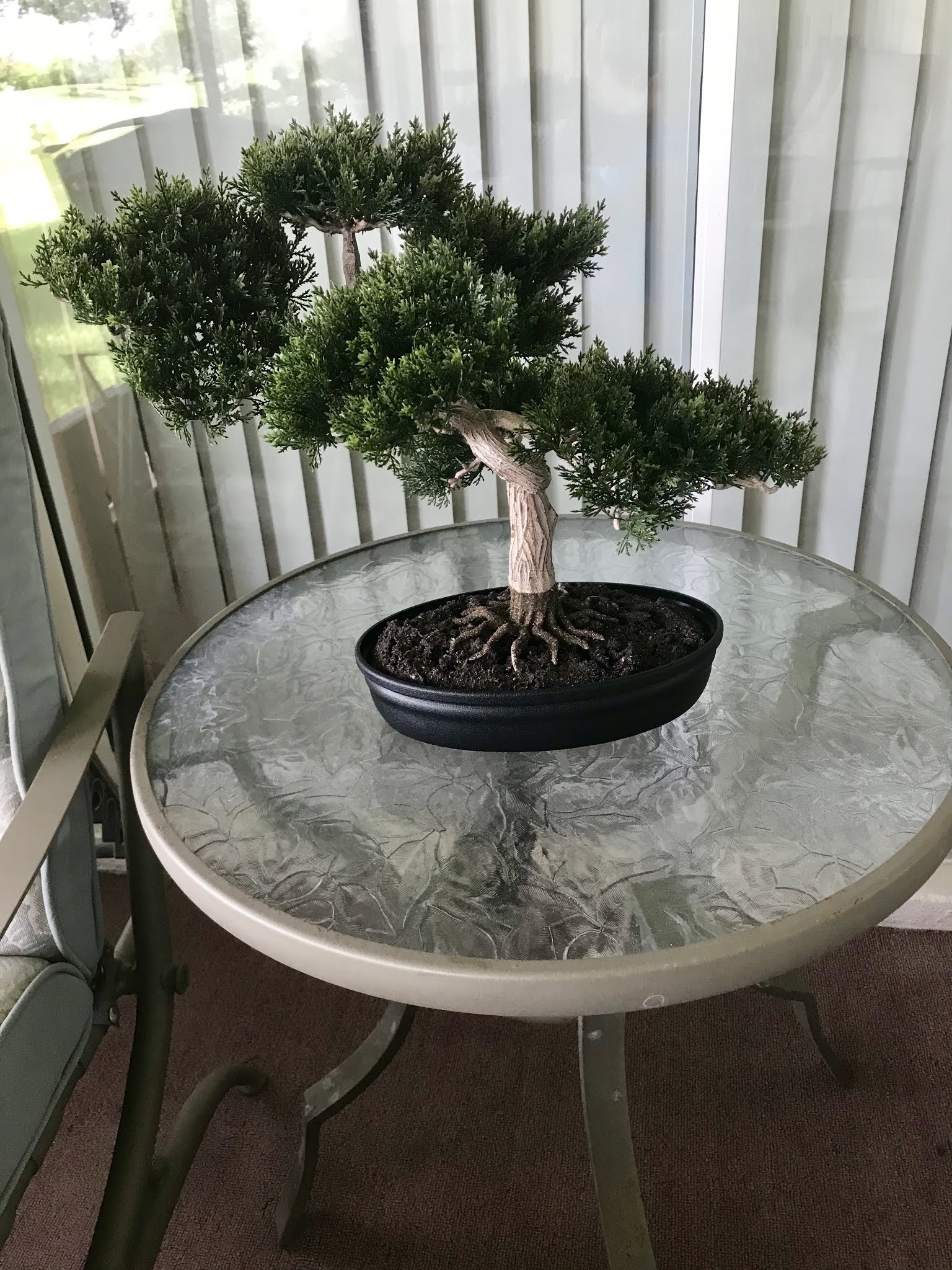 The Commercial Silk Bonsai Tree [The Color Wheel Gallery]