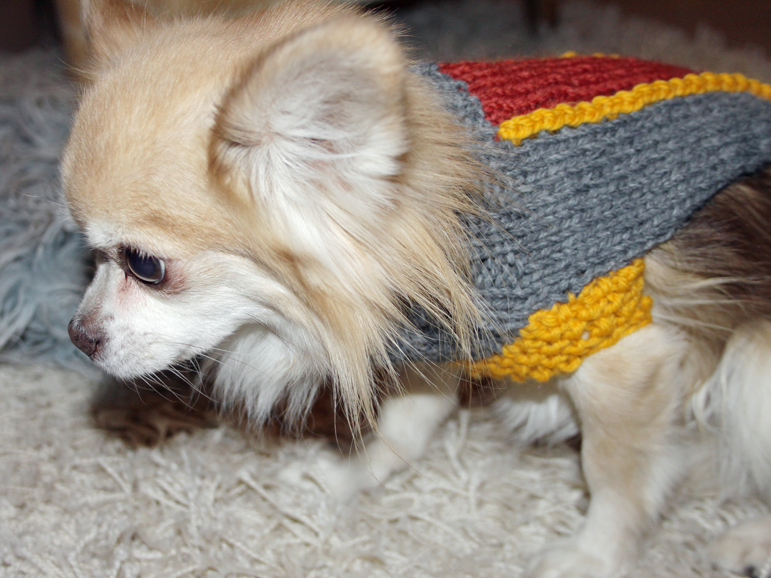 Purple crafts Sweater for chihuahua