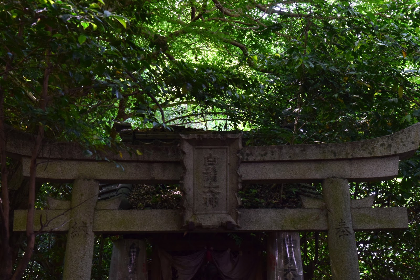 Abandoned Shinto Shrine Kyoto
