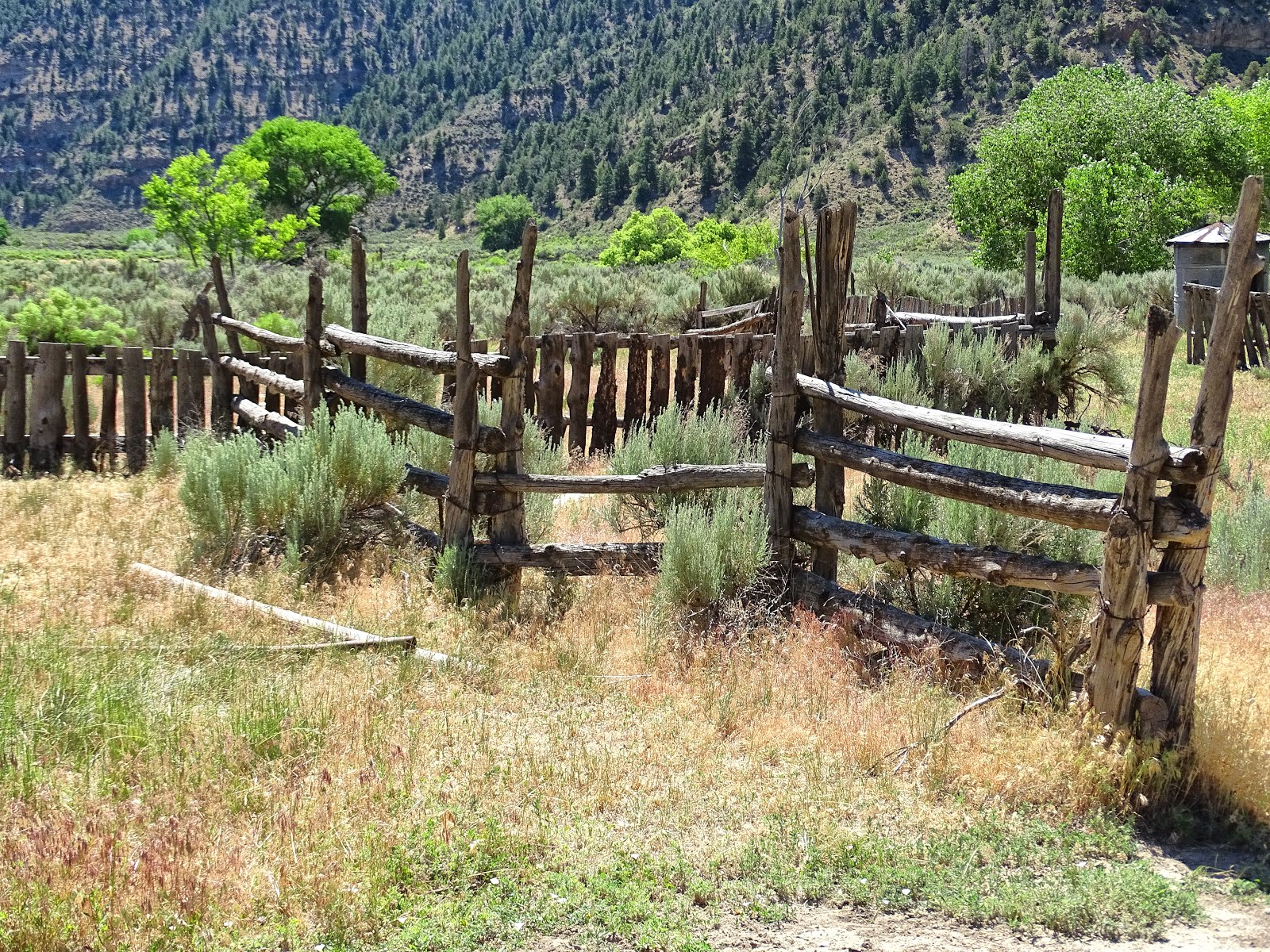 Walking Arizona The Old Homestead