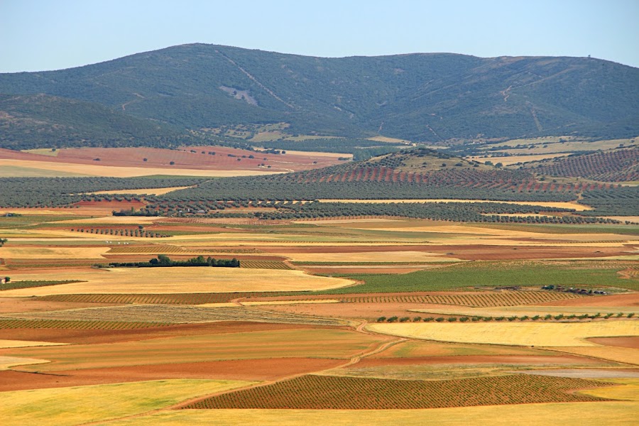 Los Molinos de Consuegra