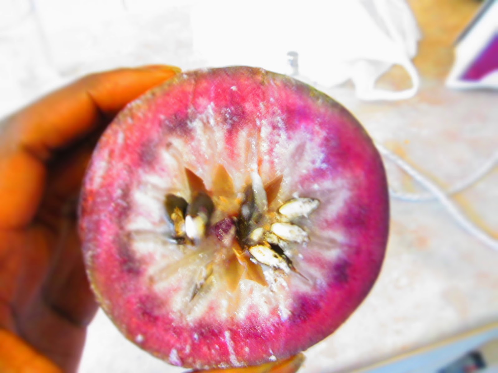Glory charles. EAT something New Jamaican star apple
