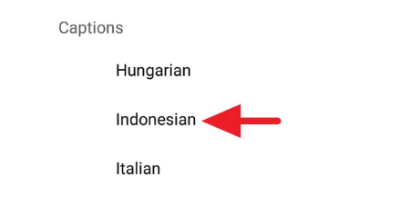 Cara Tampilkan Subtitle Indonesia pada Video Youtube
