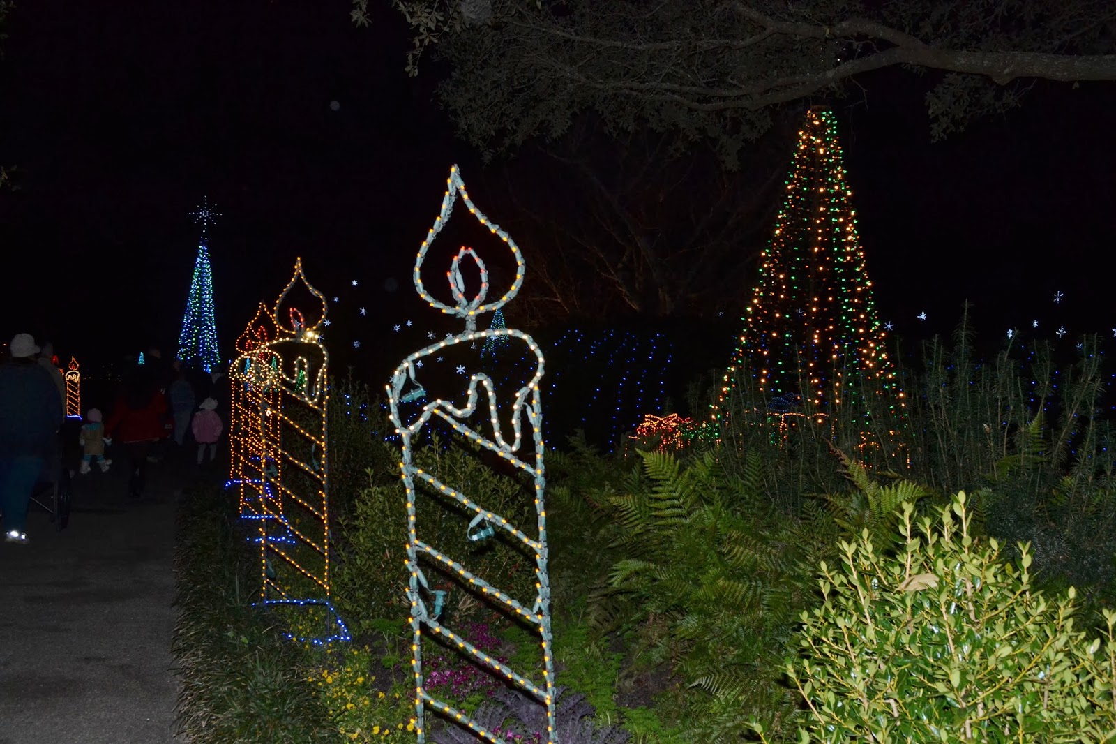 Peggy's Pensacola Dream Christmas Lights