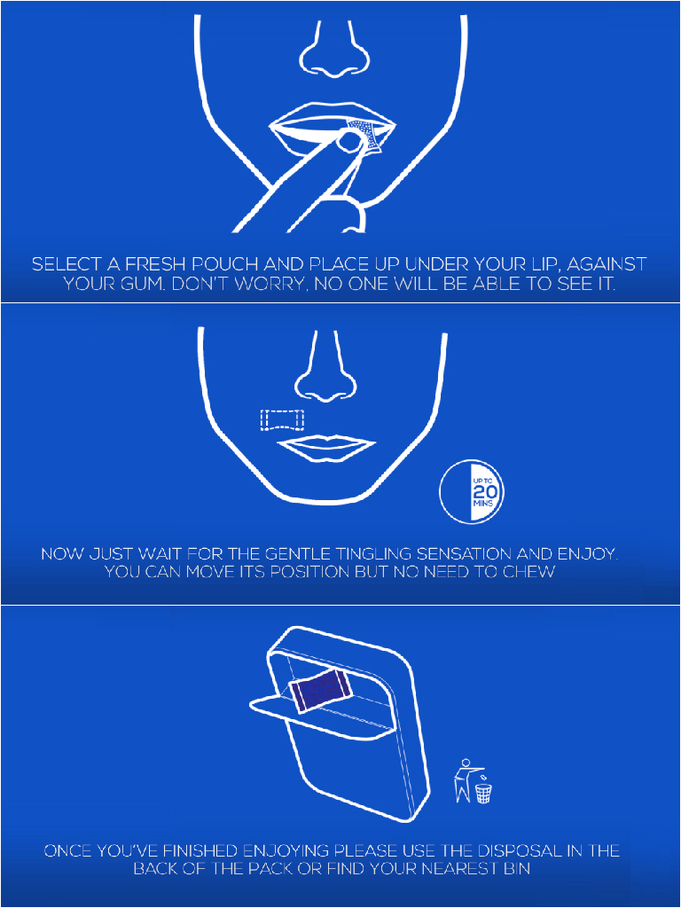 ON! Nicotine Pouches (Level 1 & Level 3) Review. 17 August 2015.