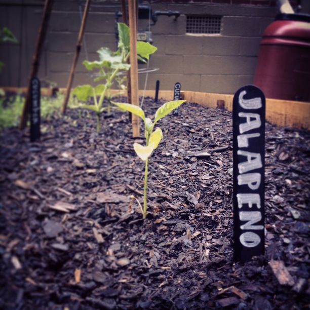 for each wind that blows DIY [Cheap] Garden Stakes