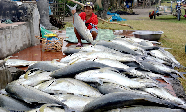Manipud Kadagiti Editor ti Bannawag Gonzaga, Cagayan