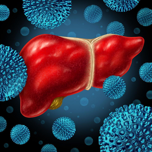 Ilustrasi animasi virus hepatitis akut pada hepar atau liver atau hati yang dipelajari pada kuliah mikrobiologi dan praktikum laboratorium pada fakultas kedokteran, pelajaran dan kuliah untuk lebih memahami secara jelas