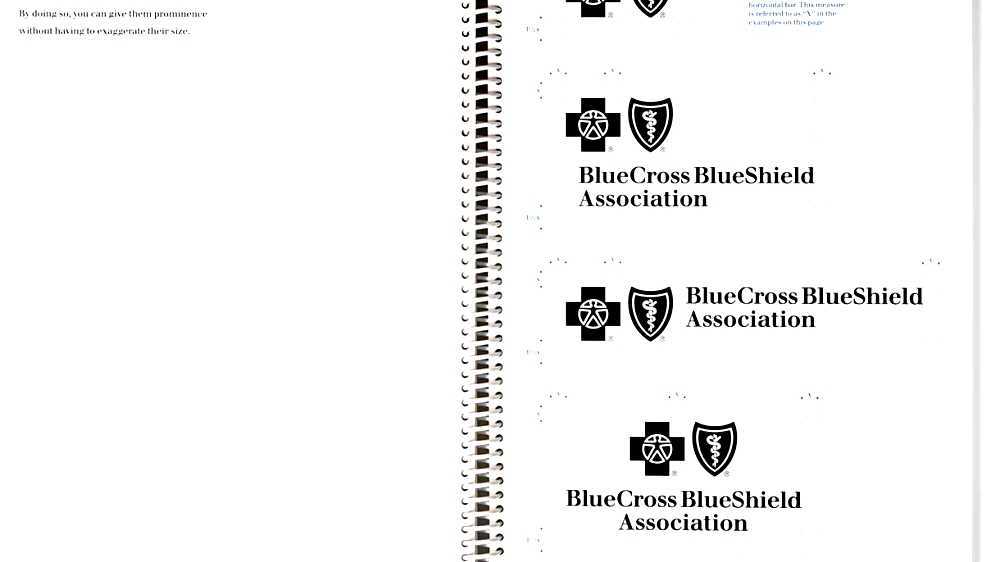 Blue Cross Blue Shield Association