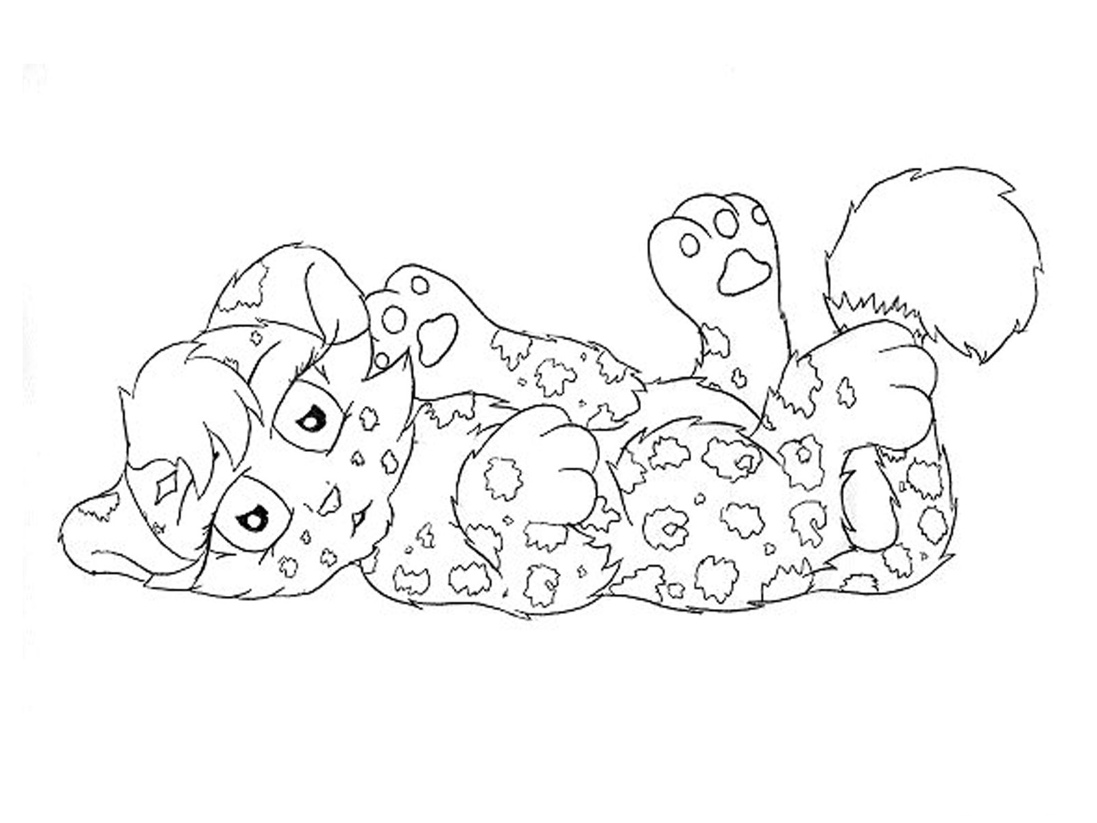 baby jaguar coloring pages - photo #6