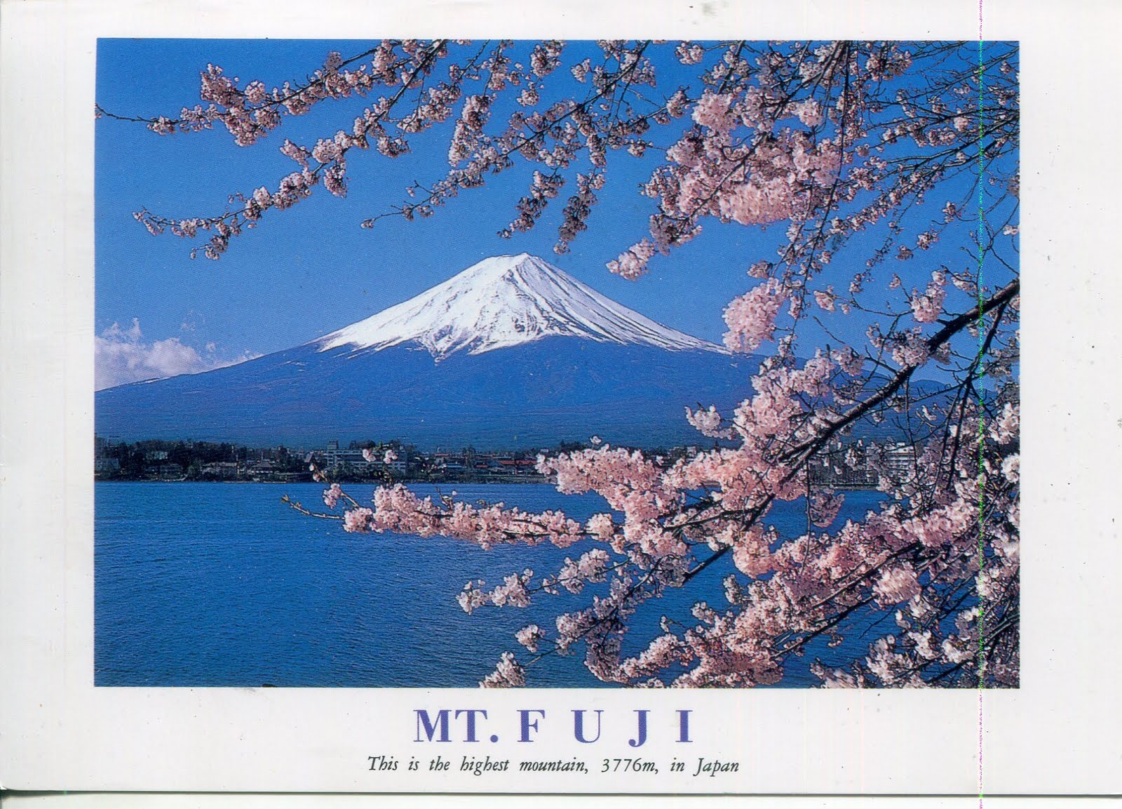 collect ROC Japan Postcard Mt. Fuji