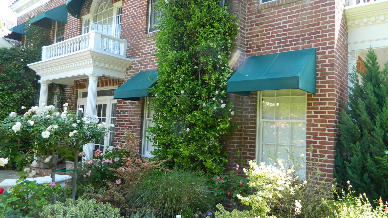 GardenEnvy: The 2013 Mission Hills Garden Walk In San Diego Rocks!