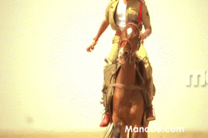 Pawan+kalyan+Gabbar+Singh+horse+riding.g